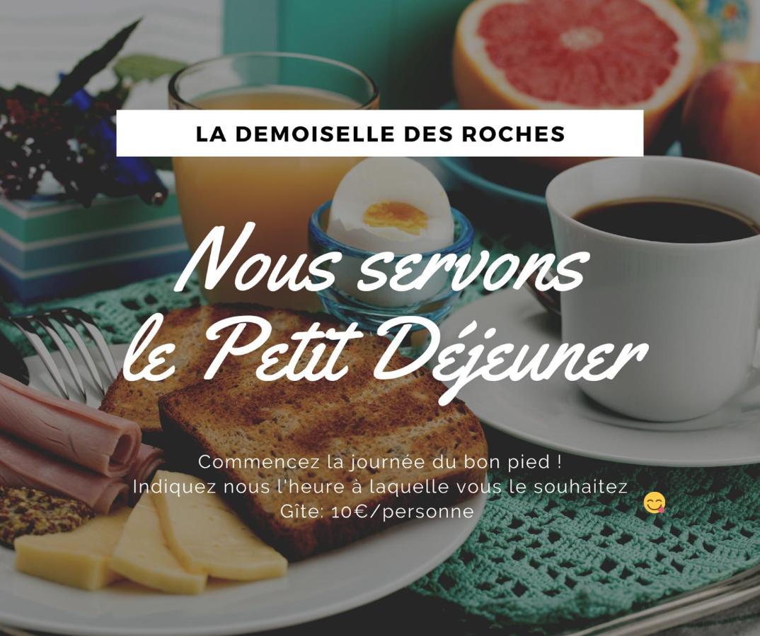 Demoiselle Des Roches Apartment Ramonchamp Exterior photo